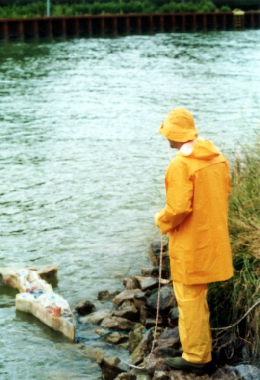 Bad fish 6